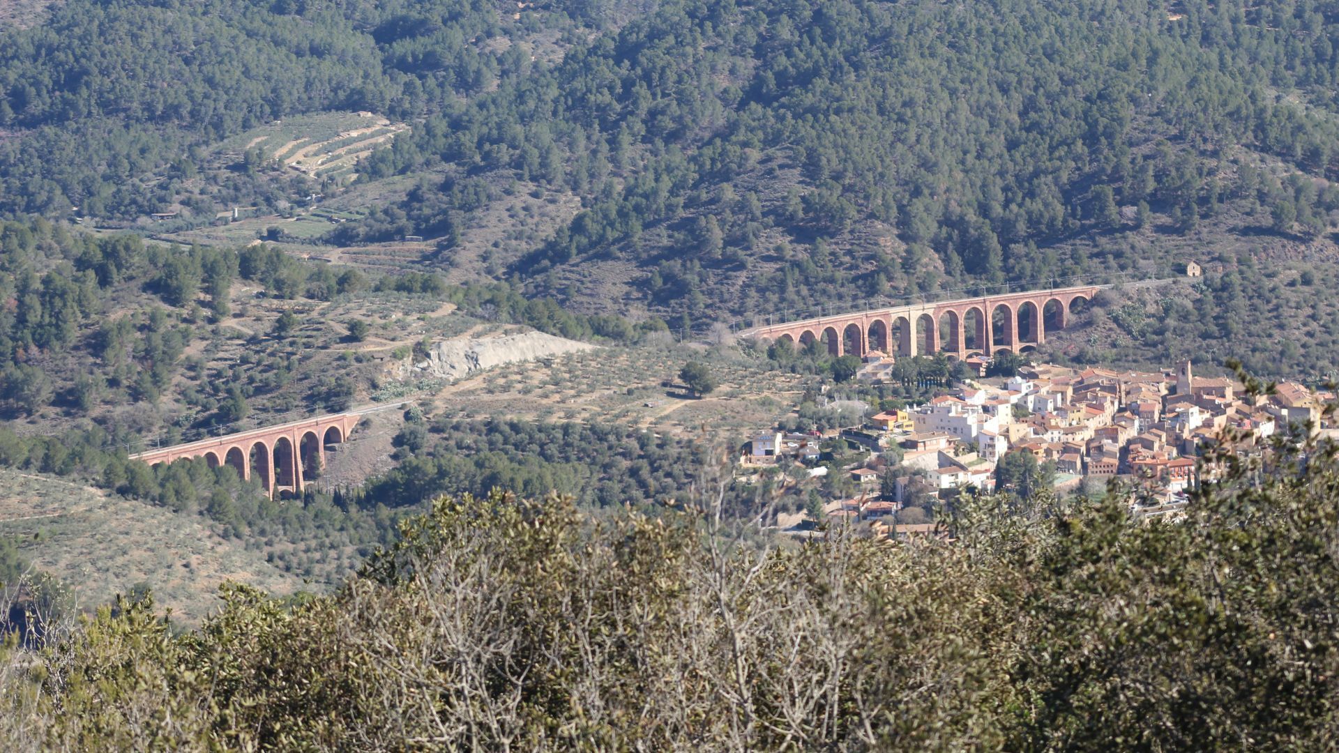Ruta hacia el Montsant