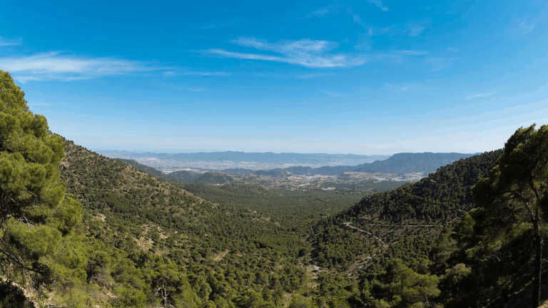 Miradores, barrancos y carreteras para perderse en Murcia